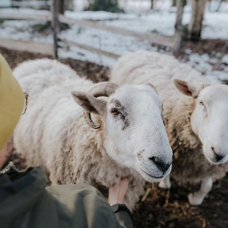 Our Farm Ferienwohnung Grasberg Екстериор снимка