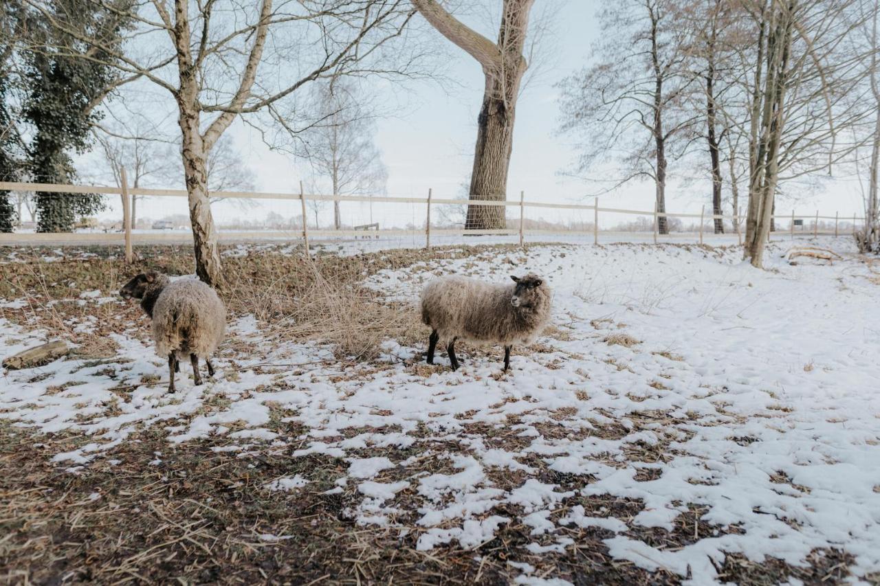 Our Farm Ferienwohnung Grasberg Екстериор снимка