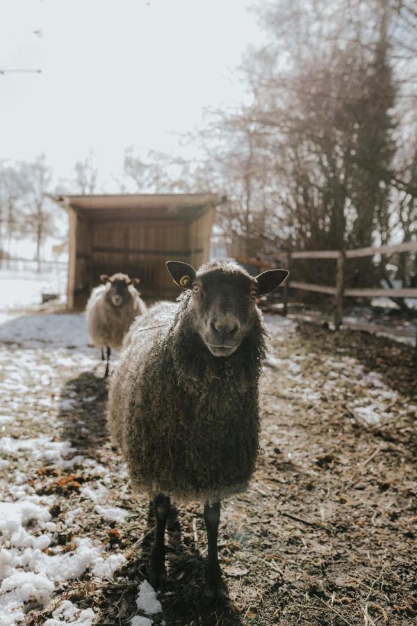 Our Farm Ferienwohnung Grasberg Екстериор снимка